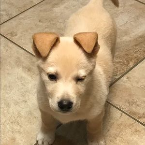 Meet your Posher, William